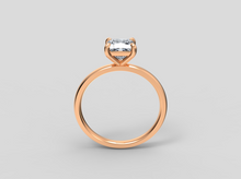 Load image into Gallery viewer, Carolina